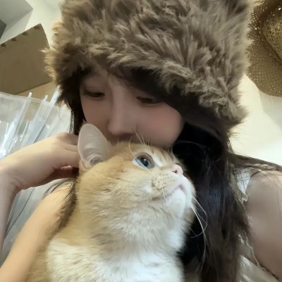 热铁皮屋顶上的猫